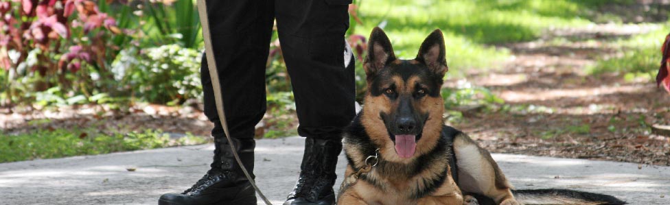 Dog Handling Security Services
