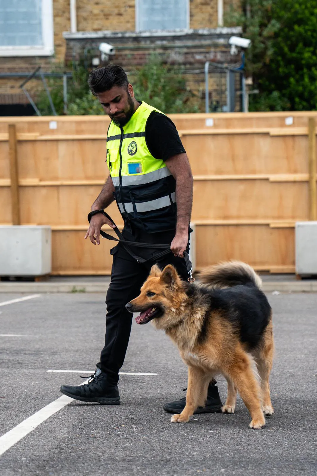 Blink Security security dog handling