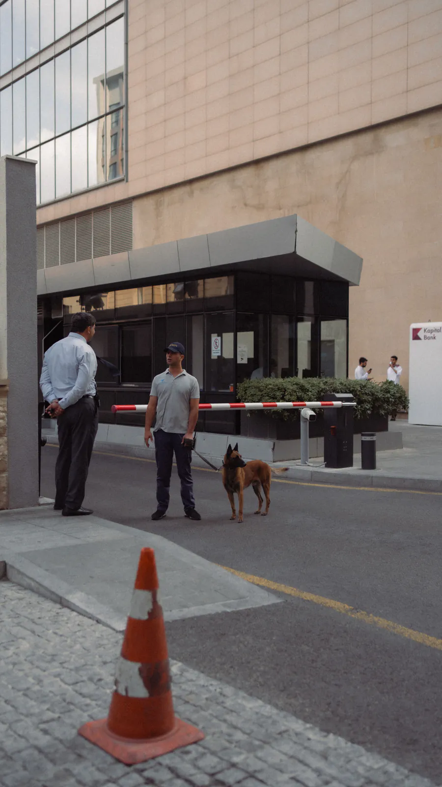 Blink Security drug detection dogs