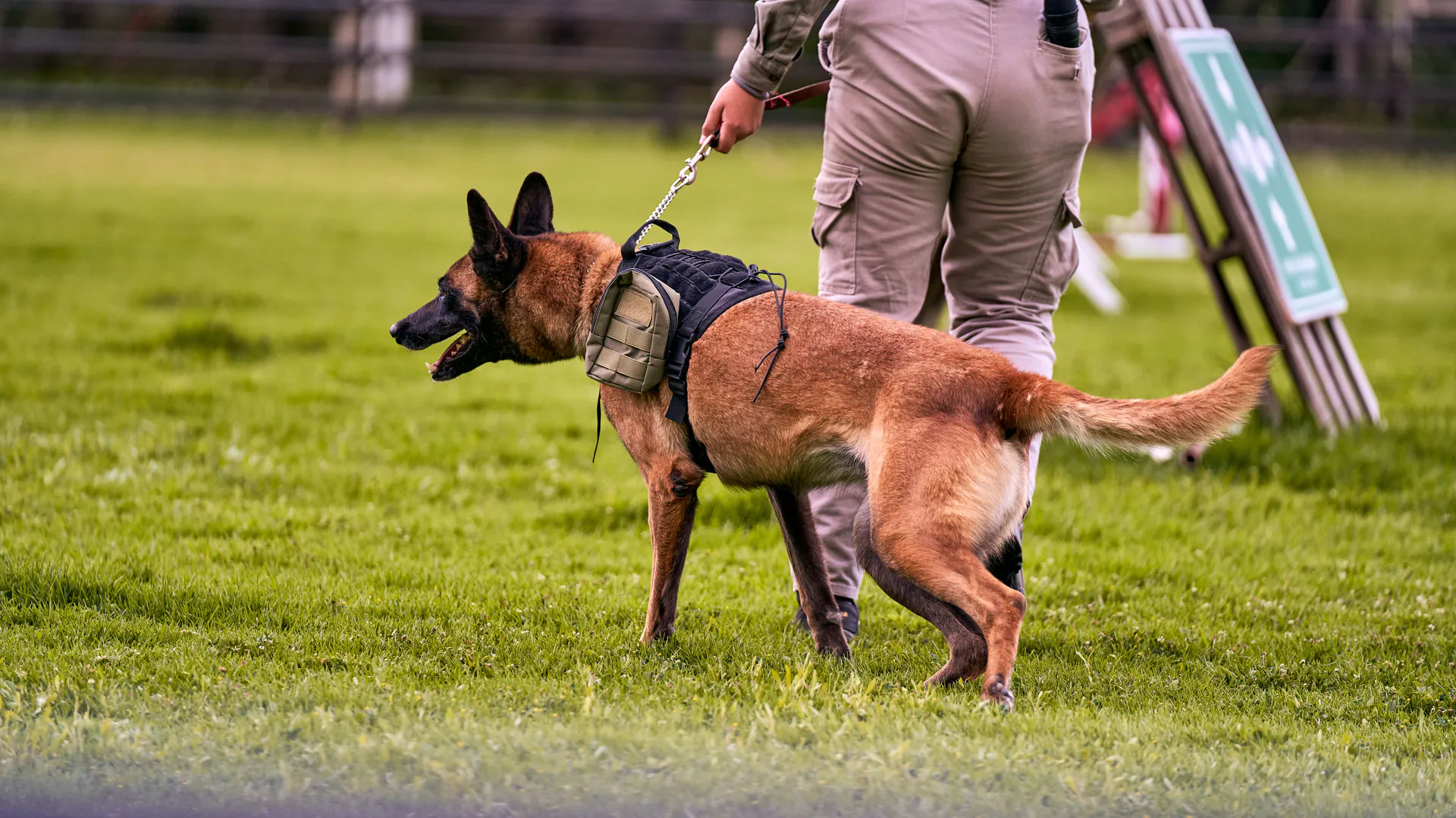 Drug Detection Dogs from Blink Security Services