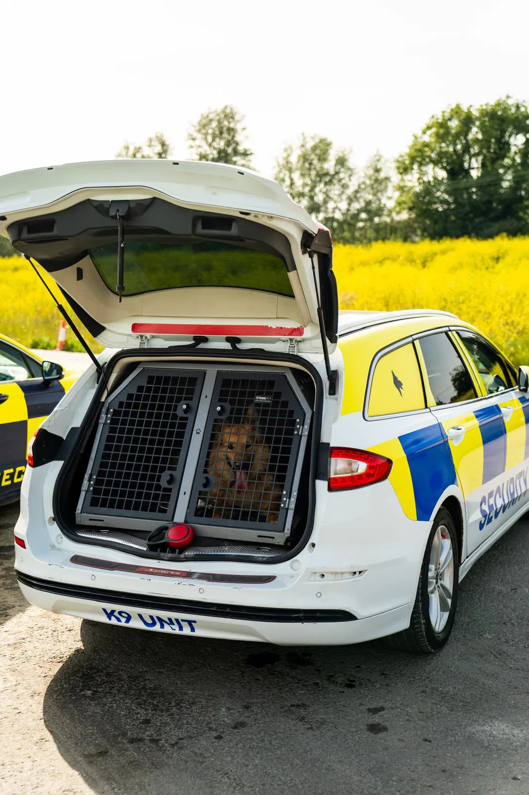 Professional mobile patrols and alarm response service